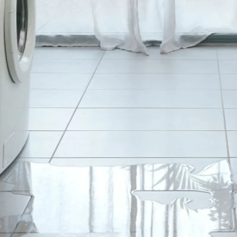 Appliance Leak Cleanup in Gladwin, MI