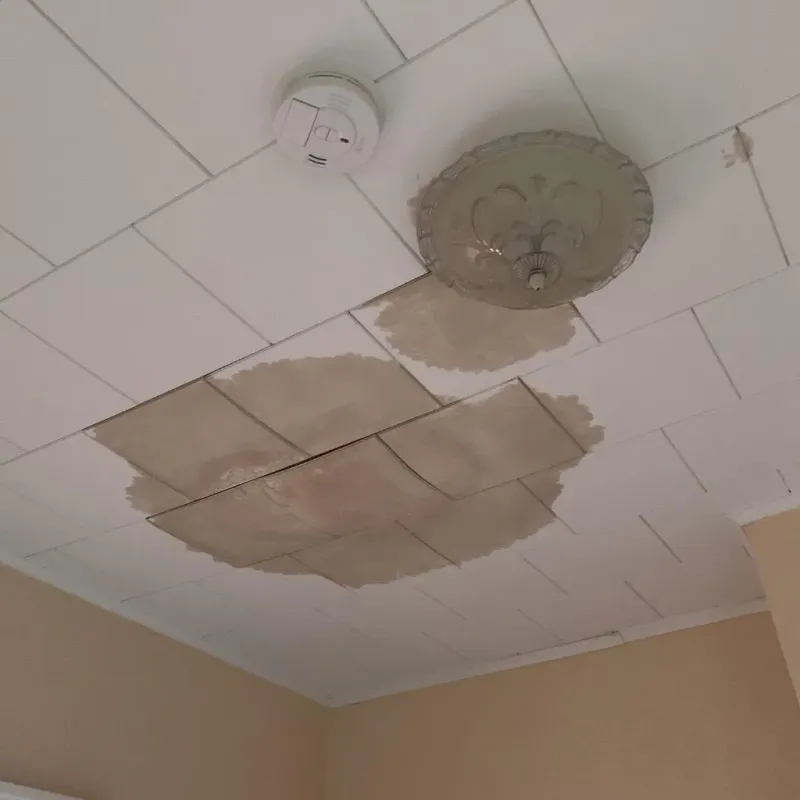 Ceiling Water Damage Repair in Gladwin, MI